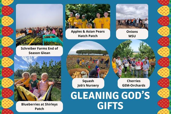 Connecting with the community